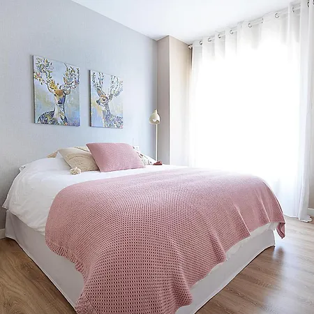 Roma's Apartamento Cambados